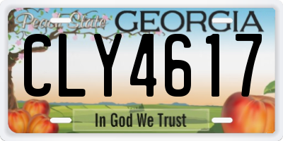 GA license plate CLY4617