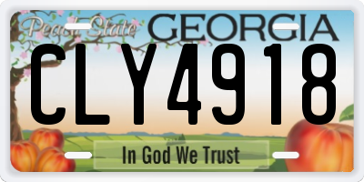 GA license plate CLY4918