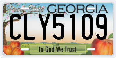 GA license plate CLY5109