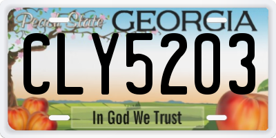 GA license plate CLY5203