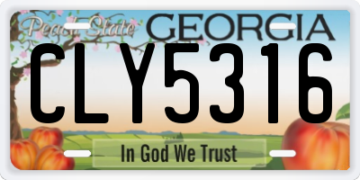 GA license plate CLY5316