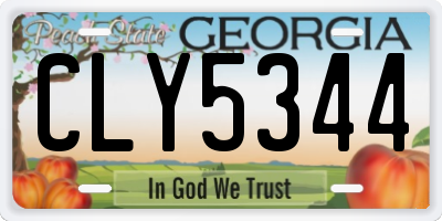GA license plate CLY5344