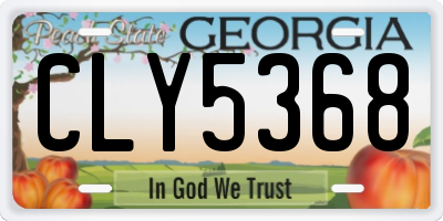 GA license plate CLY5368