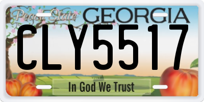 GA license plate CLY5517