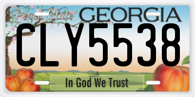 GA license plate CLY5538