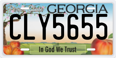 GA license plate CLY5655