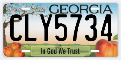 GA license plate CLY5734