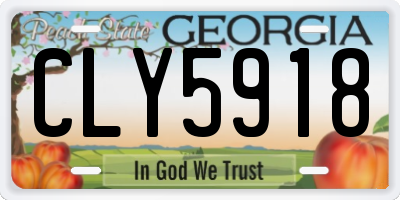 GA license plate CLY5918