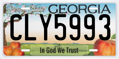 GA license plate CLY5993