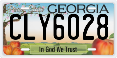 GA license plate CLY6028
