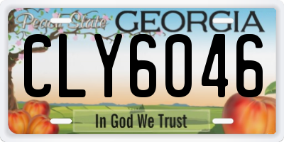 GA license plate CLY6046