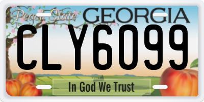 GA license plate CLY6099