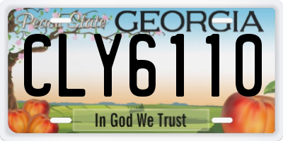 GA license plate CLY6110