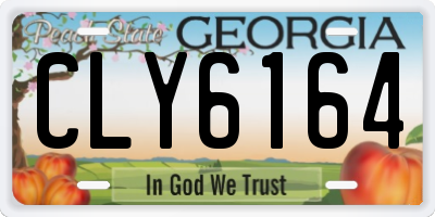 GA license plate CLY6164