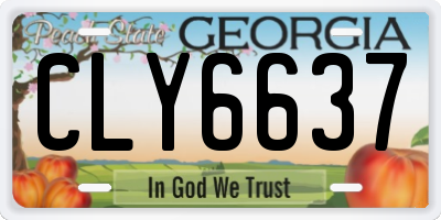 GA license plate CLY6637