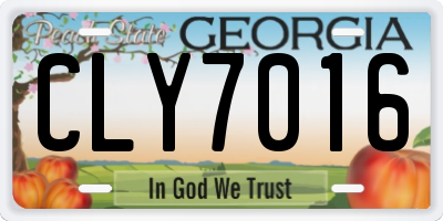 GA license plate CLY7016
