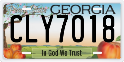 GA license plate CLY7018
