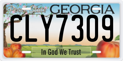 GA license plate CLY7309