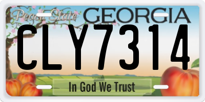 GA license plate CLY7314