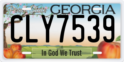 GA license plate CLY7539