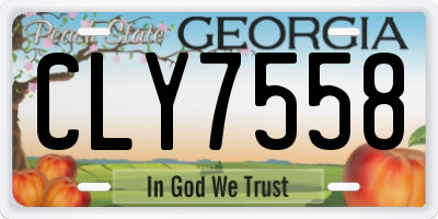 GA license plate CLY7558