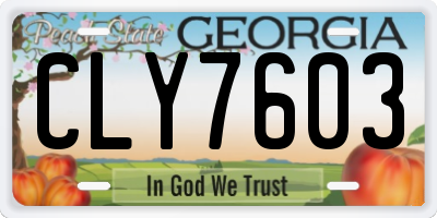 GA license plate CLY7603