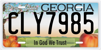 GA license plate CLY7985