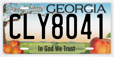 GA license plate CLY8041