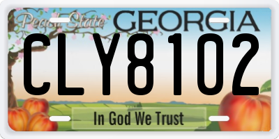 GA license plate CLY8102