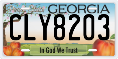 GA license plate CLY8203