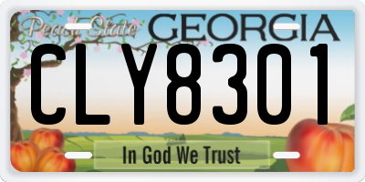 GA license plate CLY8301