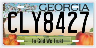 GA license plate CLY8427