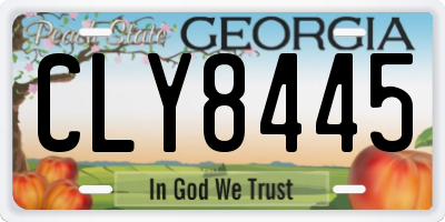 GA license plate CLY8445