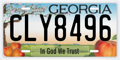 GA license plate CLY8496