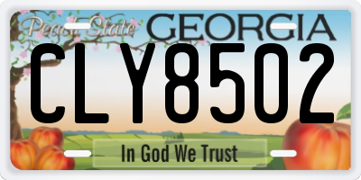 GA license plate CLY8502