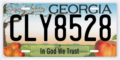 GA license plate CLY8528