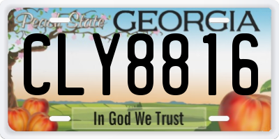 GA license plate CLY8816
