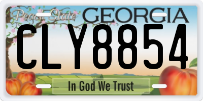 GA license plate CLY8854