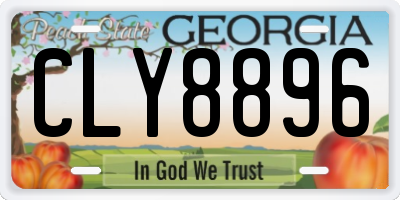 GA license plate CLY8896