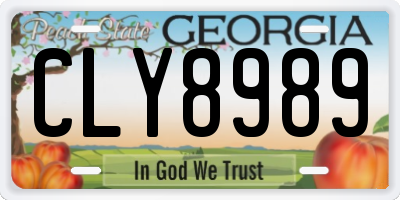 GA license plate CLY8989