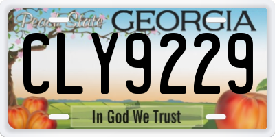 GA license plate CLY9229