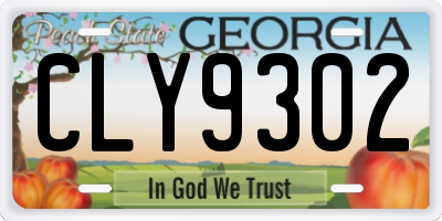 GA license plate CLY9302