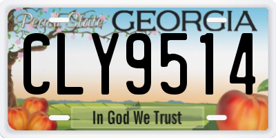 GA license plate CLY9514