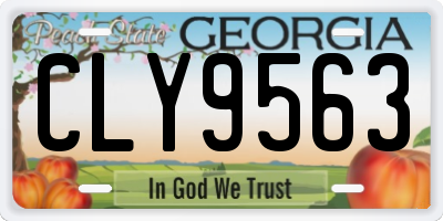 GA license plate CLY9563