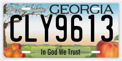 GA license plate CLY9613
