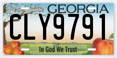 GA license plate CLY9791