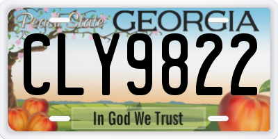 GA license plate CLY9822