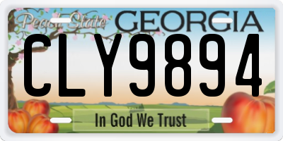 GA license plate CLY9894