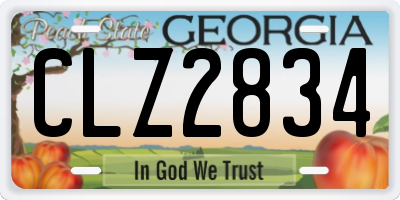 GA license plate CLZ2834
