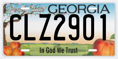 GA license plate CLZ2901